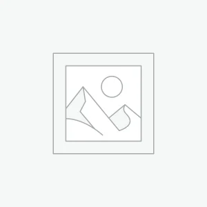 Denji x Reze Couple Pin